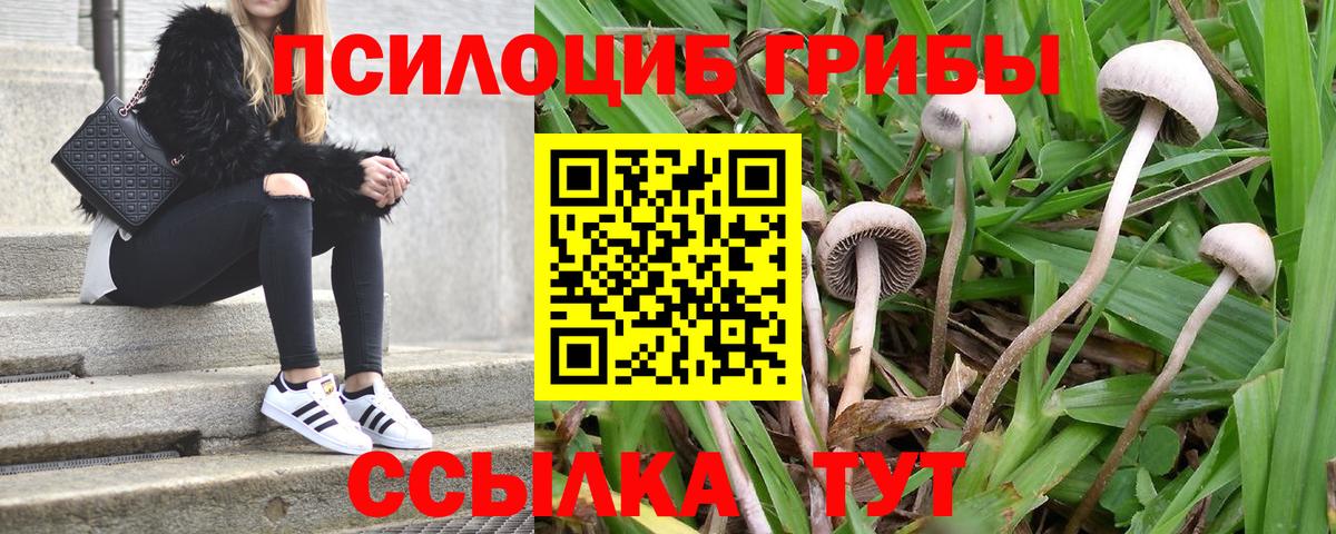 где найти   Галлюциногенные грибы ЛСД  Вход с VPN  Кингисепп 