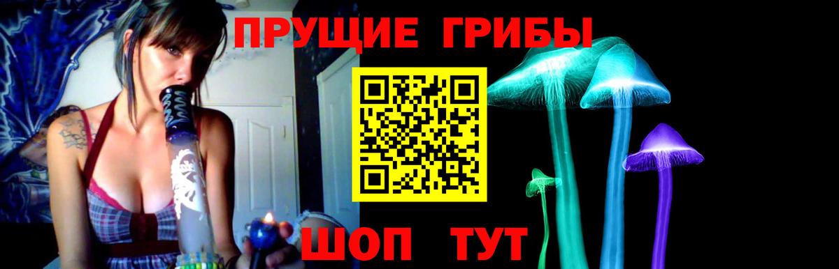 Галлюциногенные грибы мухоморы Кингисепп